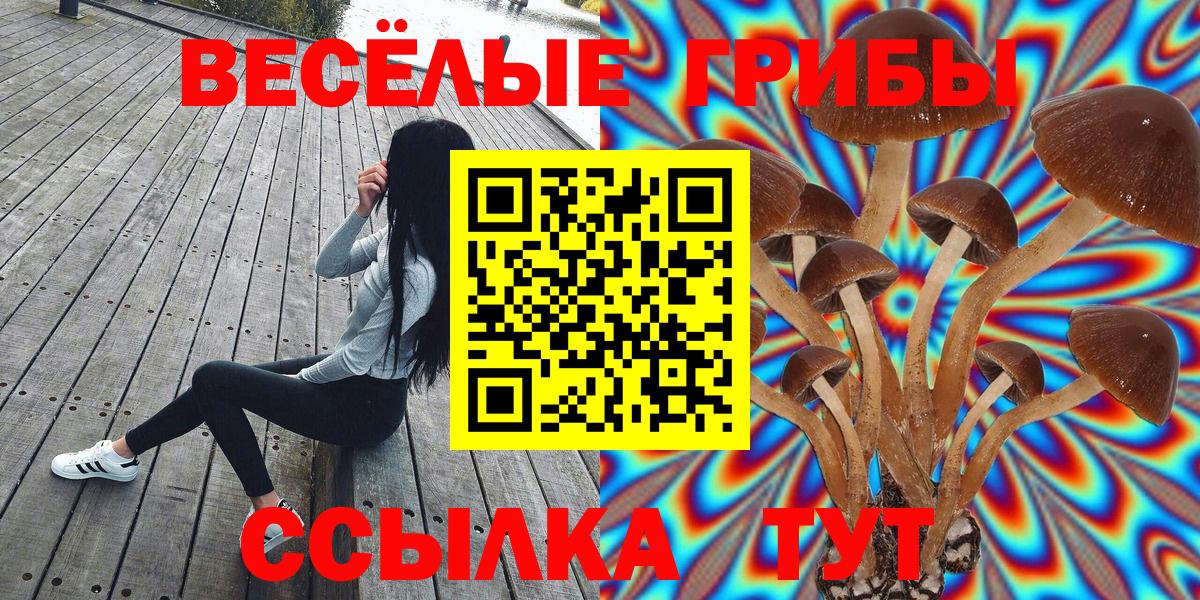 Галлюциногенные грибы ЛСД Гусиноозёрск
