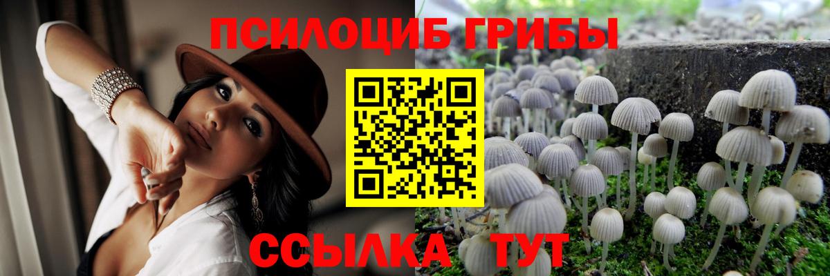 Героин  ГАШ  Экстази  АМФЕТАМИН   Вход с VPN  Гусиноозёрск  ГАШ  МЕФ кристаллы  A-PVP СК кристаллы  COCAIN 