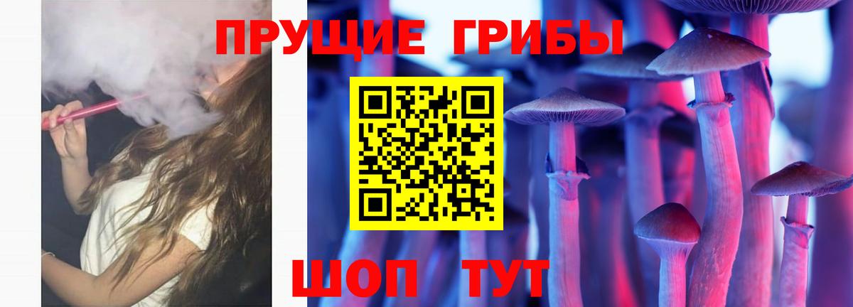 Гусиноозёрск  Галлюциногенные грибы мухоморы  Вход с VPN 